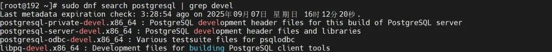 PostgreSQL开发包查询结果